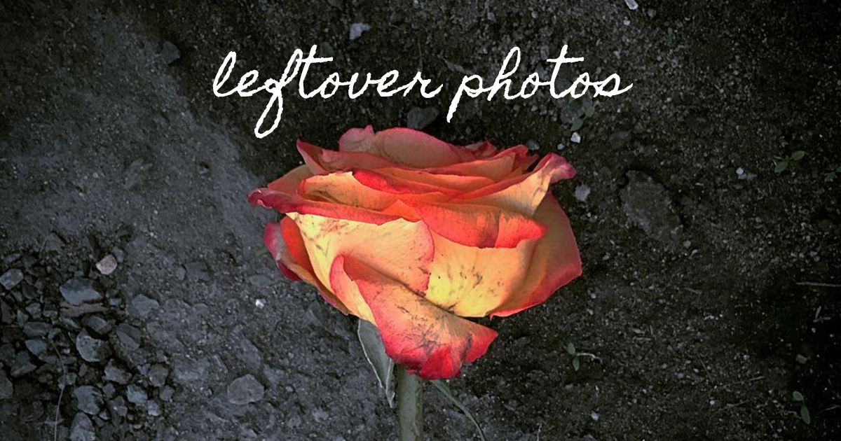 leftover photos